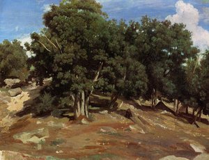 Black Oaks of Bas-Breau
